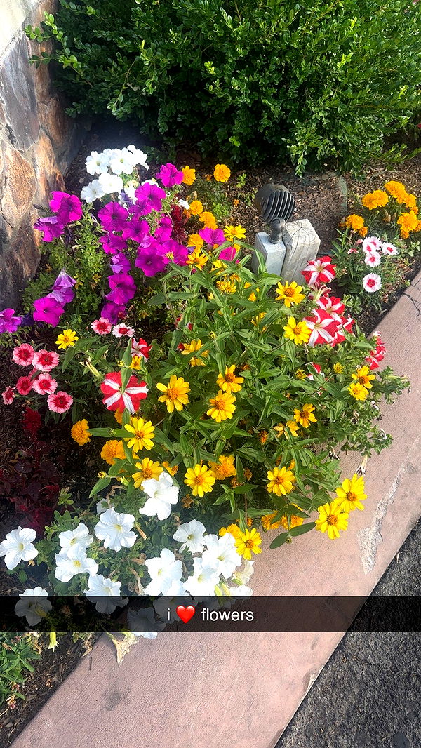 ellieblue2842 image ~ Altpins