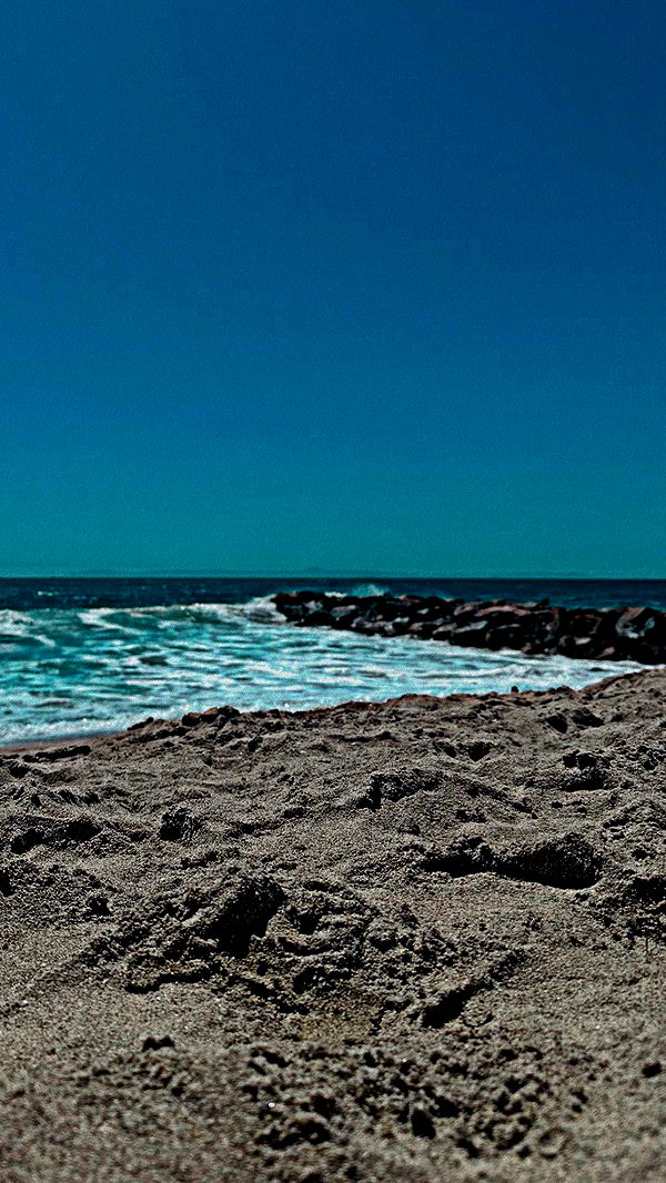 ellieblue2842 image ~ Altpins