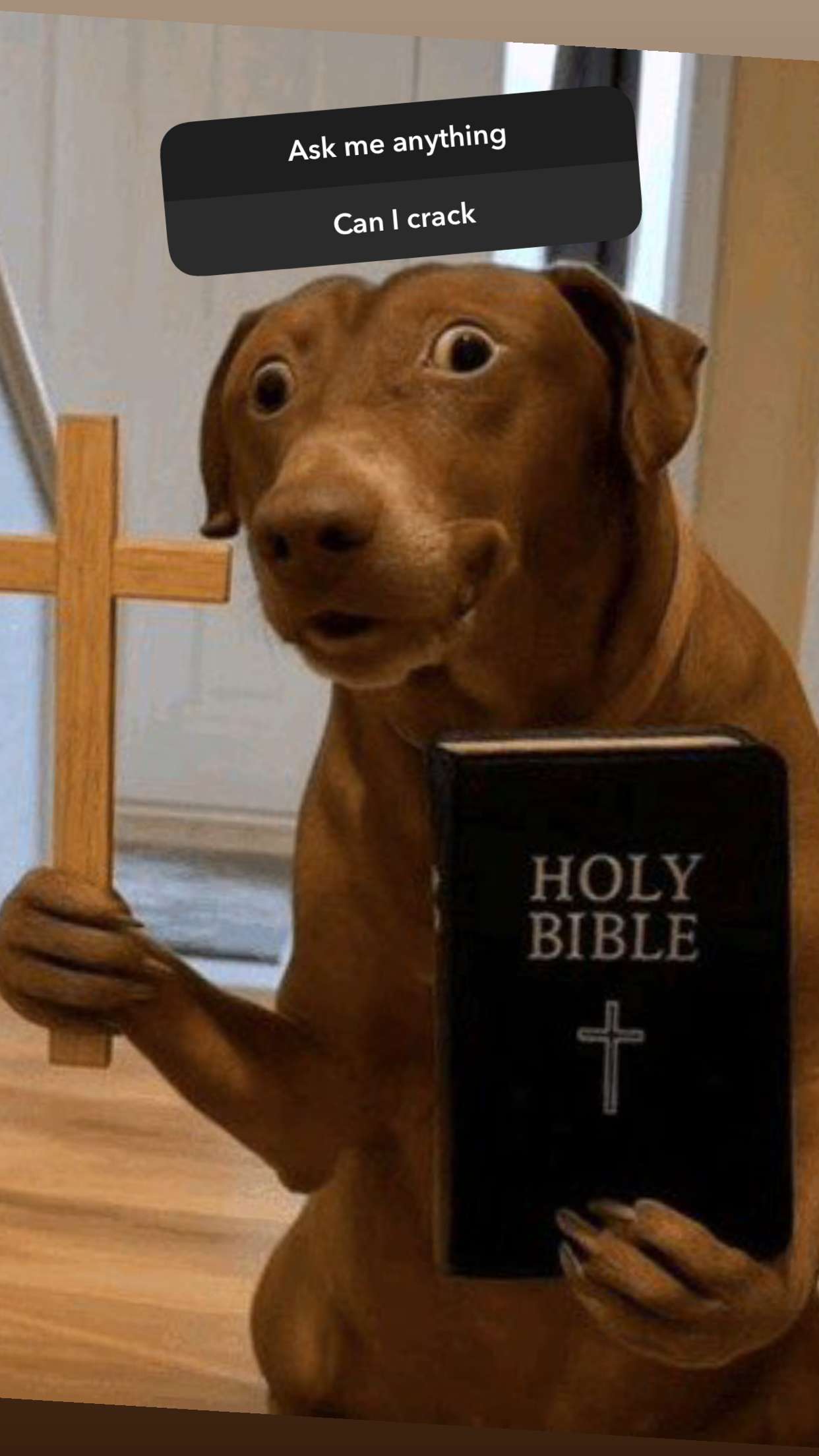 ellieblue2842 snapchat image archive image