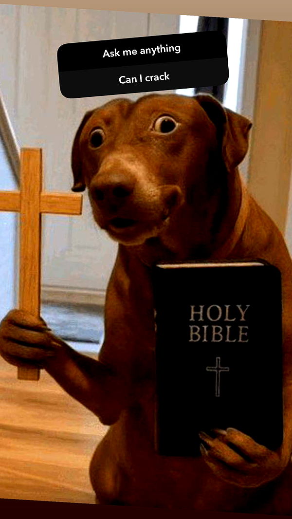 ellieblue2842 image ~ Altpins