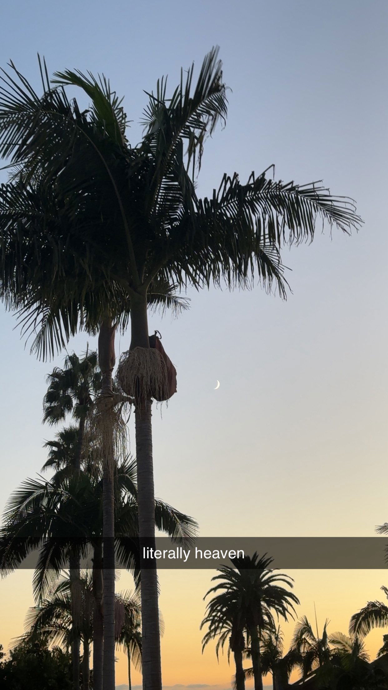 ellieblue2842 snapchat image archive image