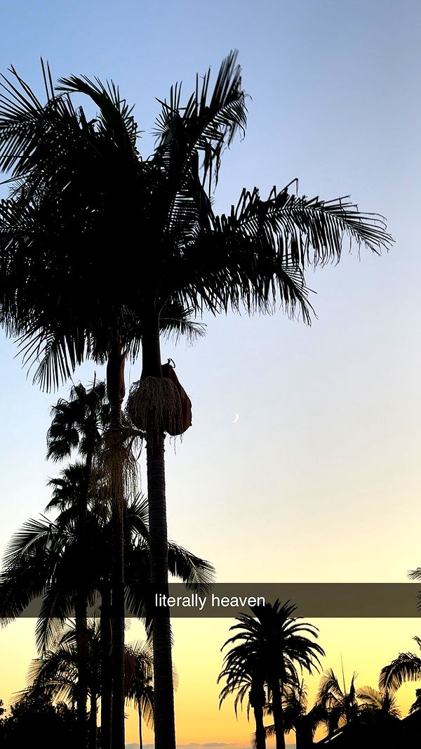 ellieblue2842 image ~ Altpins