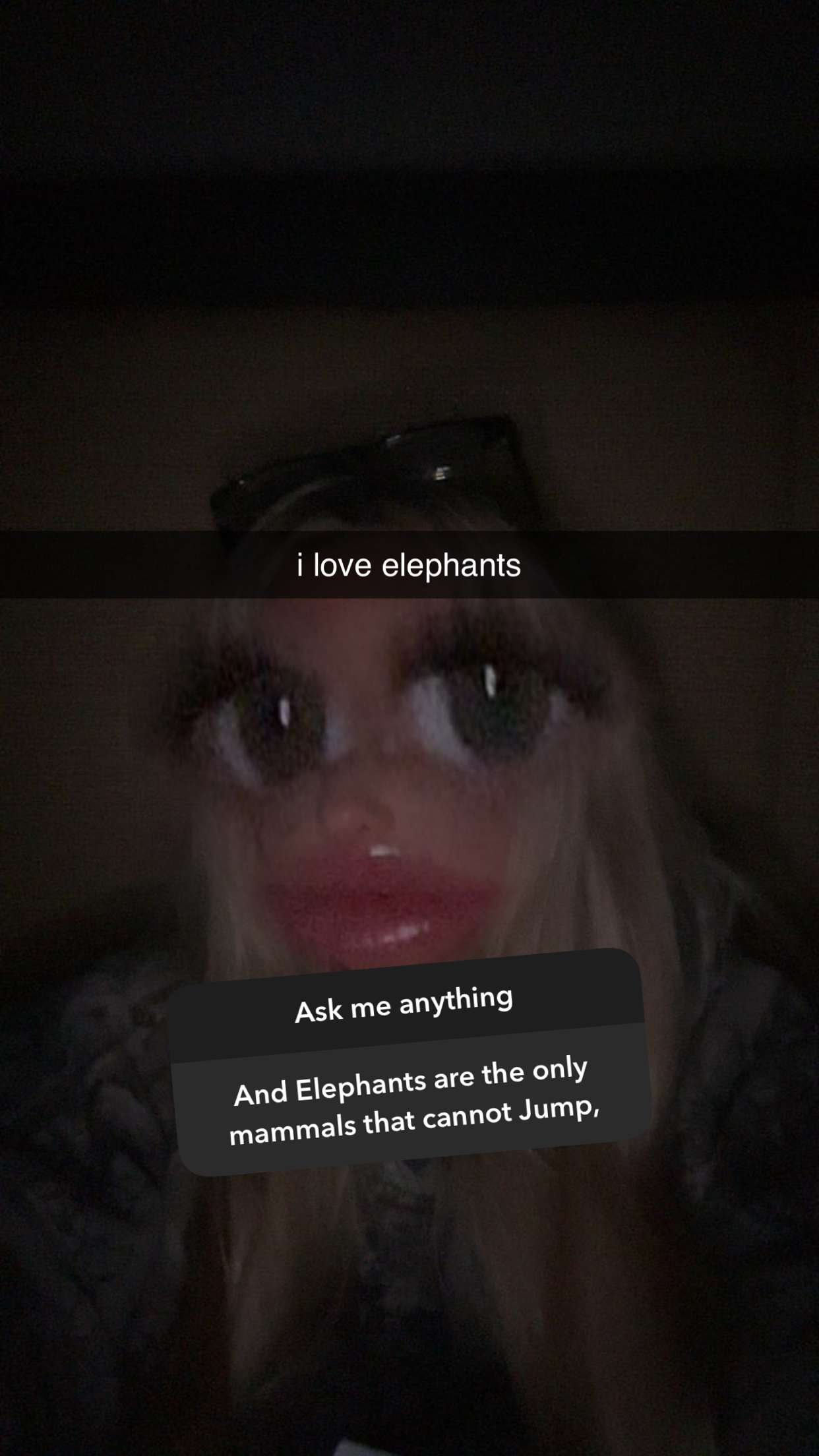 ellieblue2842 snapchat image archive image