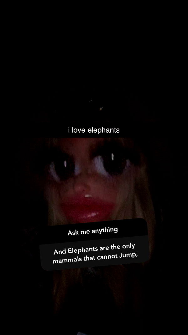 ellieblue2842 image ~ Altpins