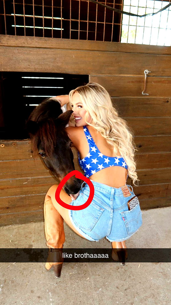 ellieblue2842 image ~ Altpins