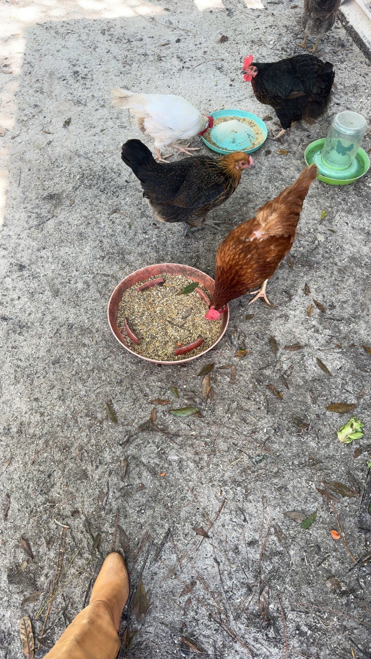 ellieblue2842 snapchat image archive image