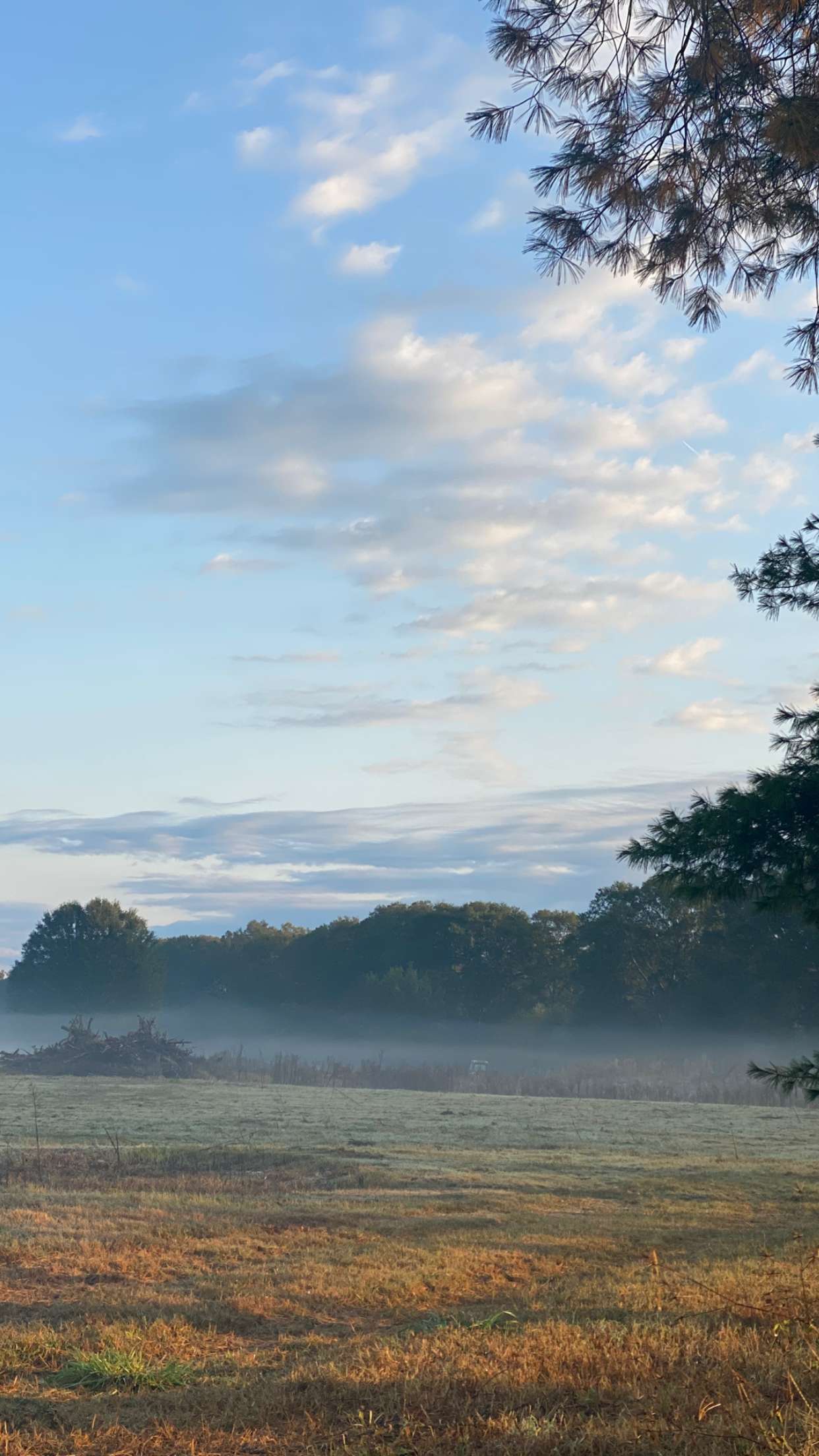 ellieblue2842 snapchat image archive image