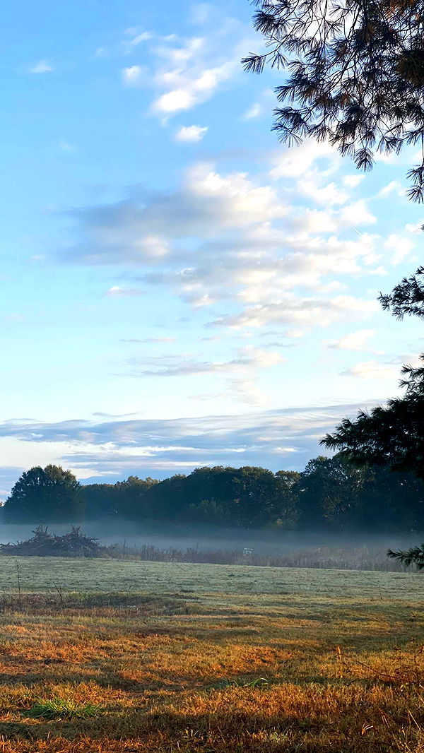 ellieblue2842 image ~ Altpins