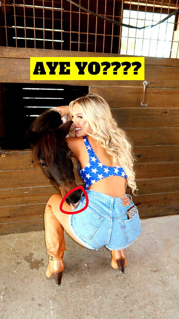 ellieblue2842 image ~ Altpins