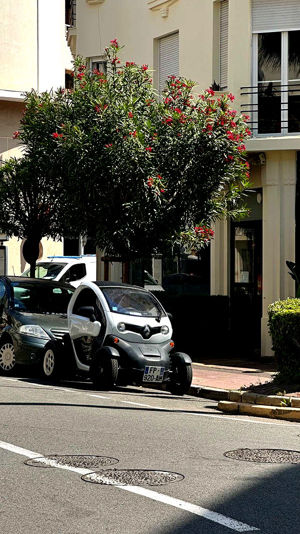 ellieblue2842 image ~ Altpins