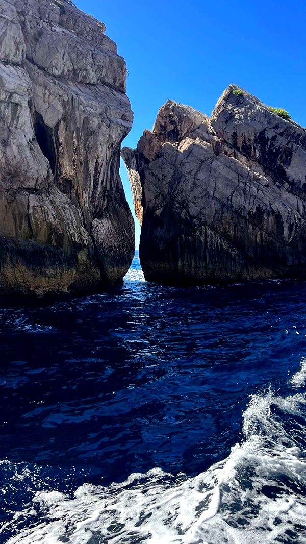 ellieblue2842 image ~ Altpins