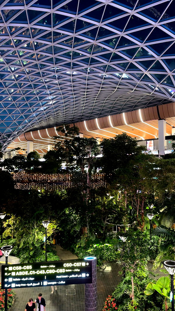 ellieblue2842 image ~ Altpins