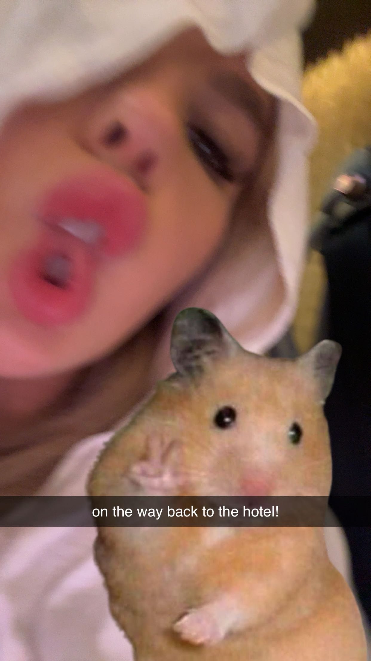 ellieblue2842 snapchat image archive image