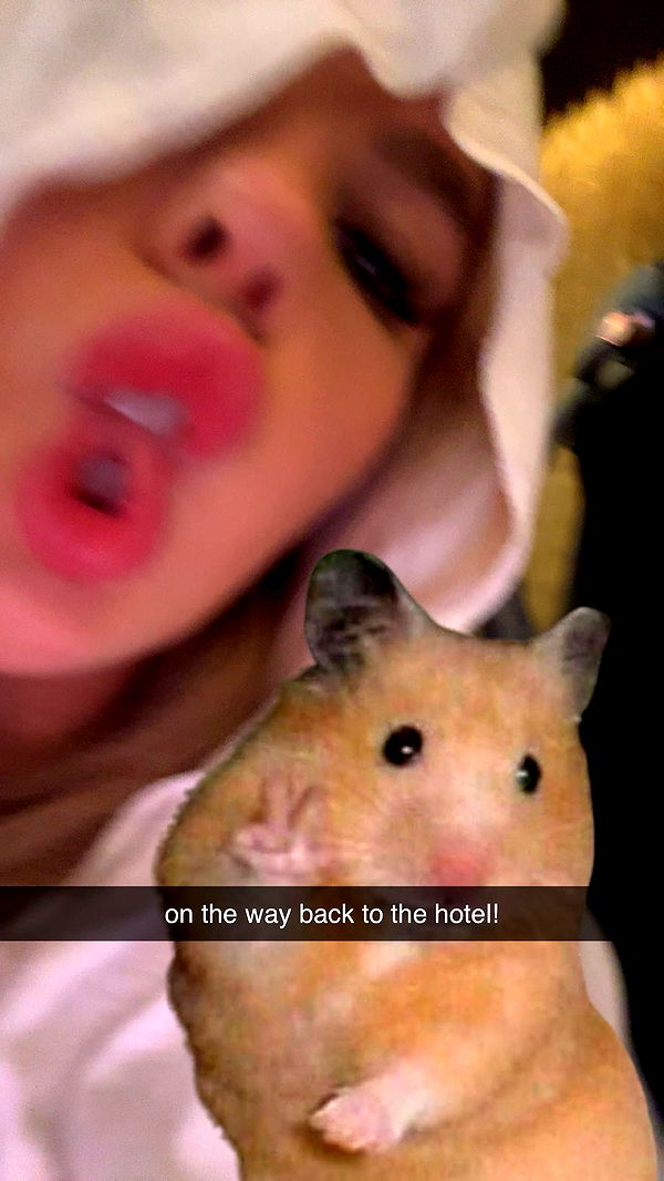 ellieblue2842 image ~ Altpins