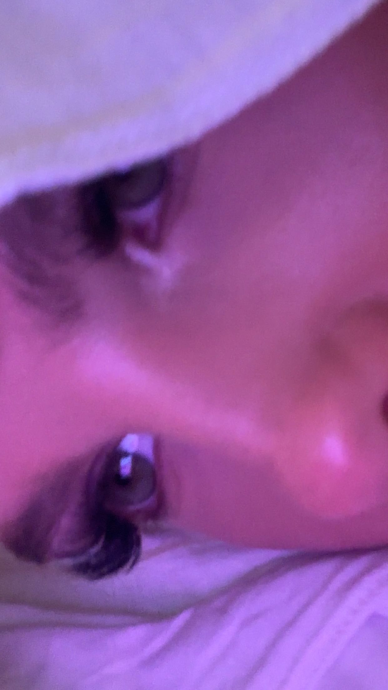 ellieblue2842 snapchat image archive image