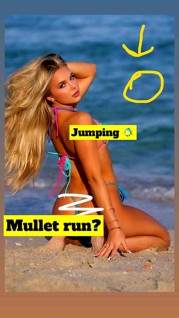 ellieblue2842 image ~ Altpins