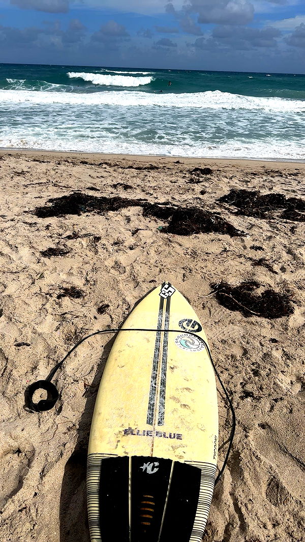 ellieblue2842 image ~ Altpins