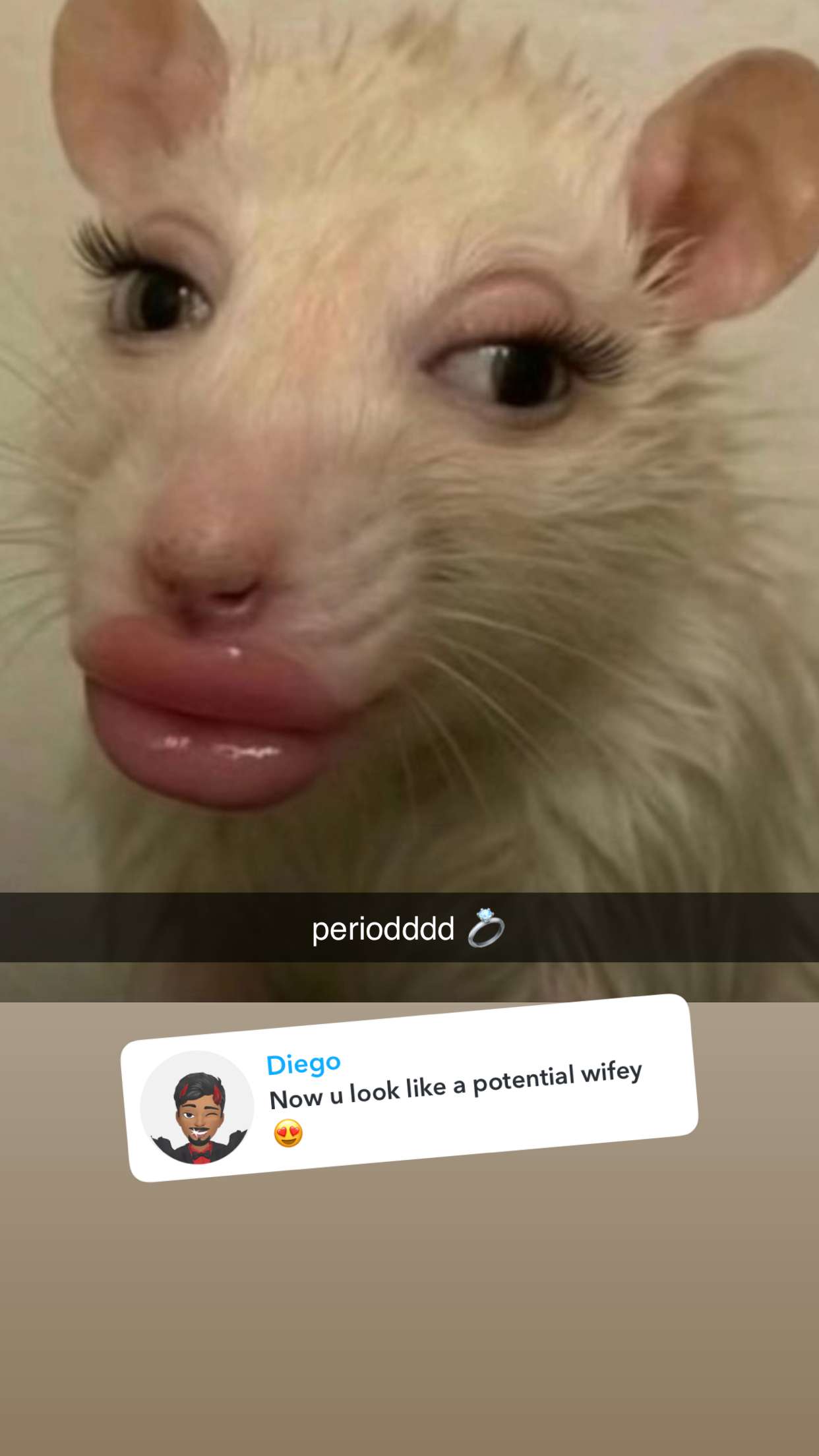 ellieblue2842 snapchat image archive image