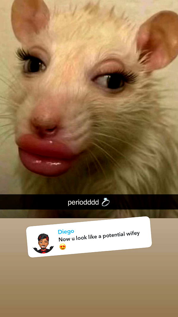 ellieblue2842 image ~ Altpins