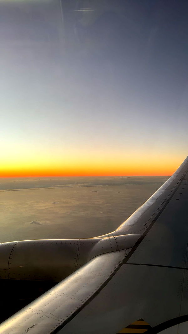 ellieblue2842 image ~ Altpins