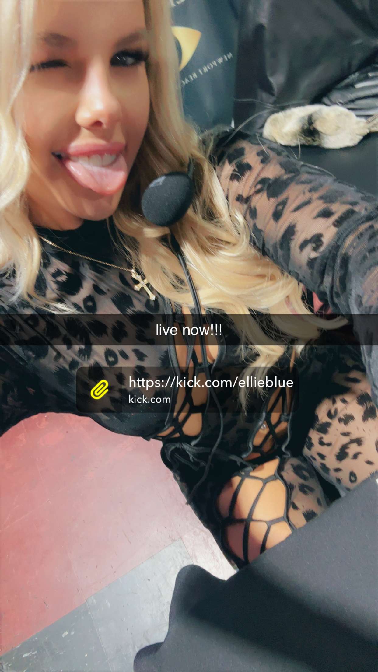 ellieblue2842 snapchat image archive image