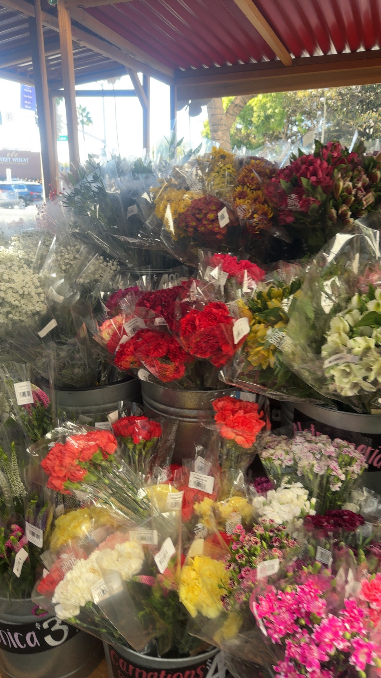 ellieblue2842 snapchat image archive image