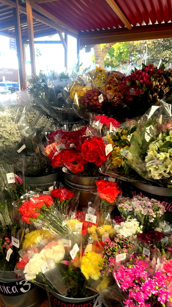 ellieblue2842 image ~ Altpins