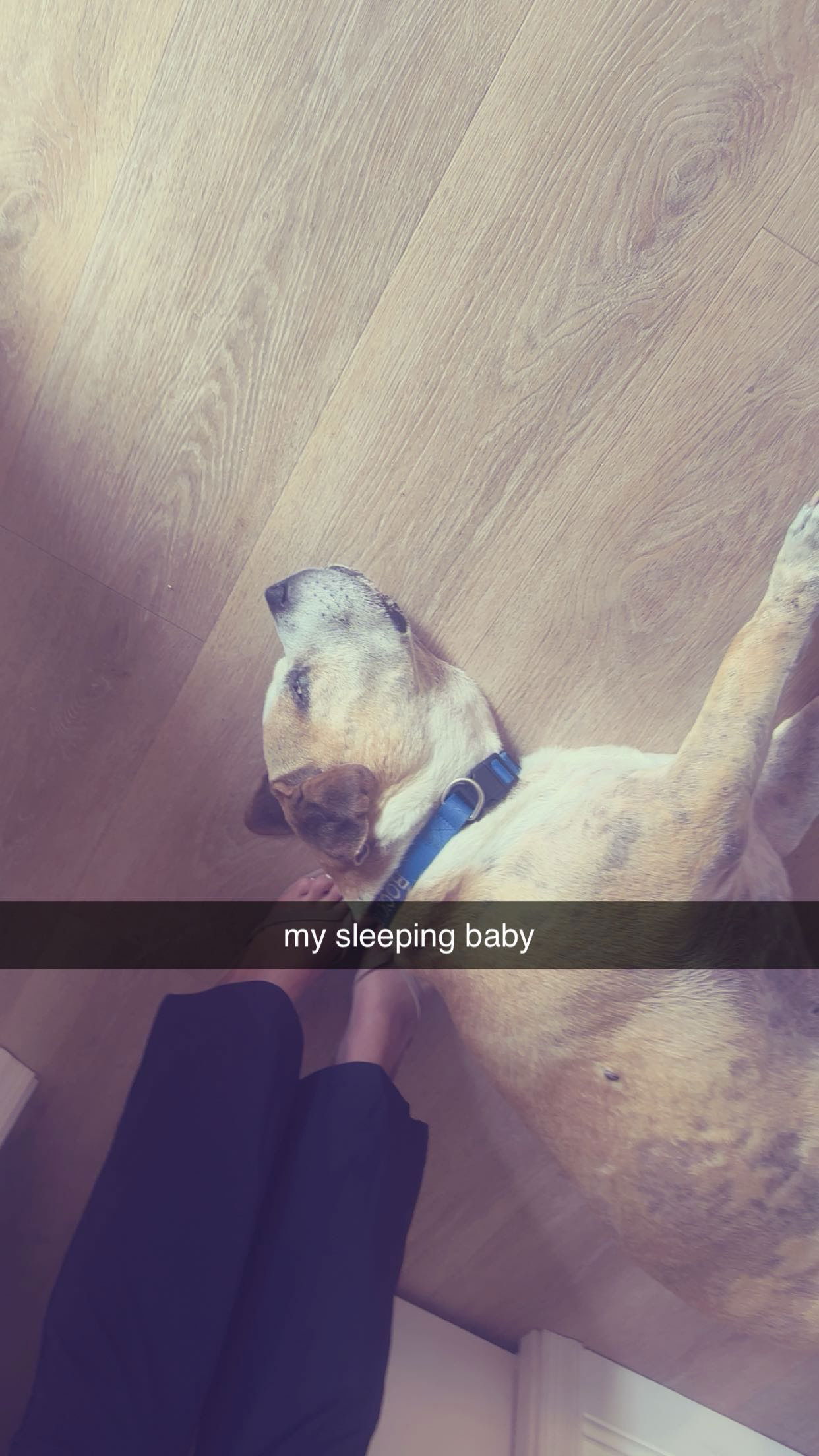 ellieblue2842 snapchat image archive image