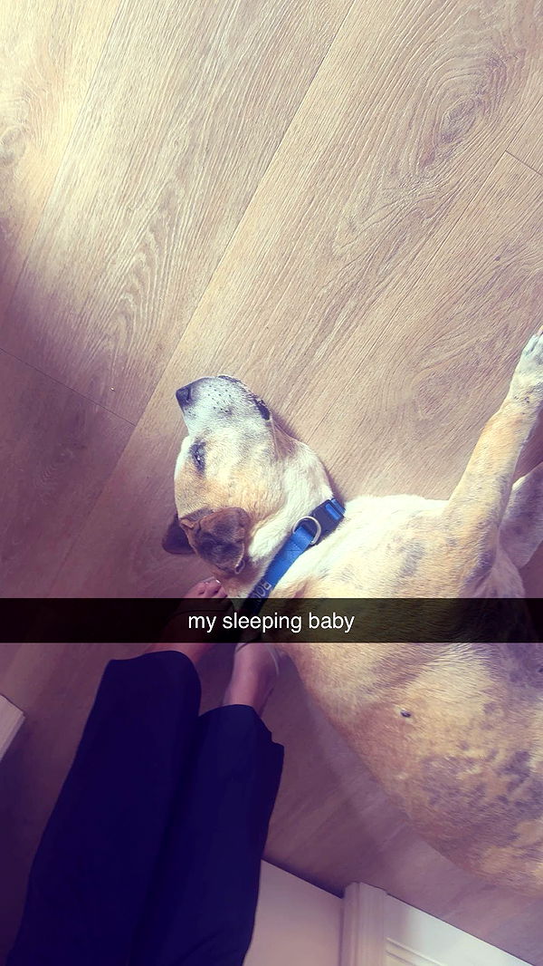 ellieblue2842 image ~ Altpins