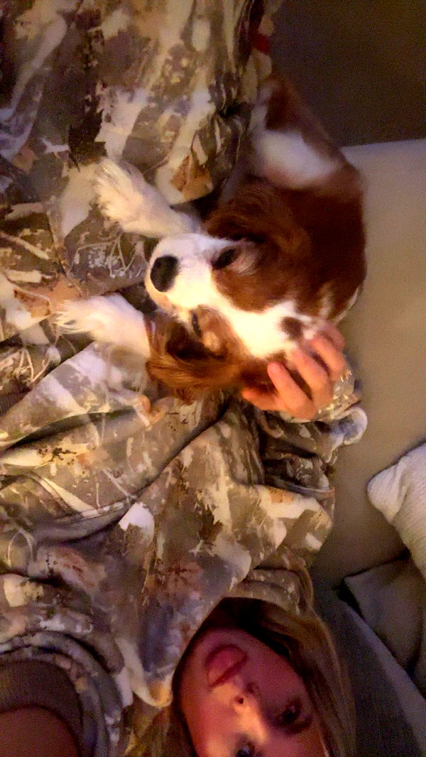 ellieblue2842 image ~ Altpins