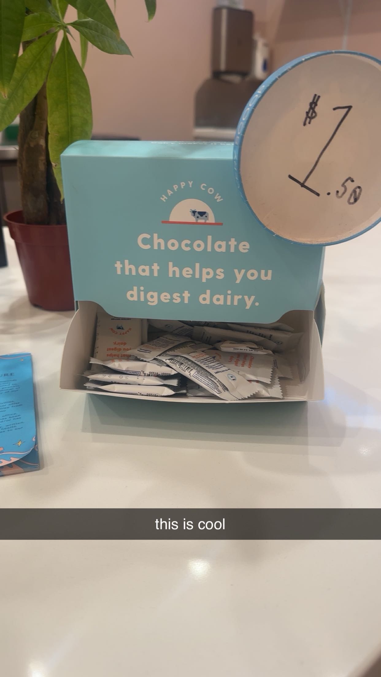 ellieblue2842 snapchat image archive image