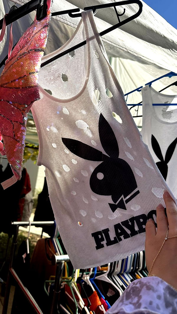 ellieblue2842 image ~ Altpins