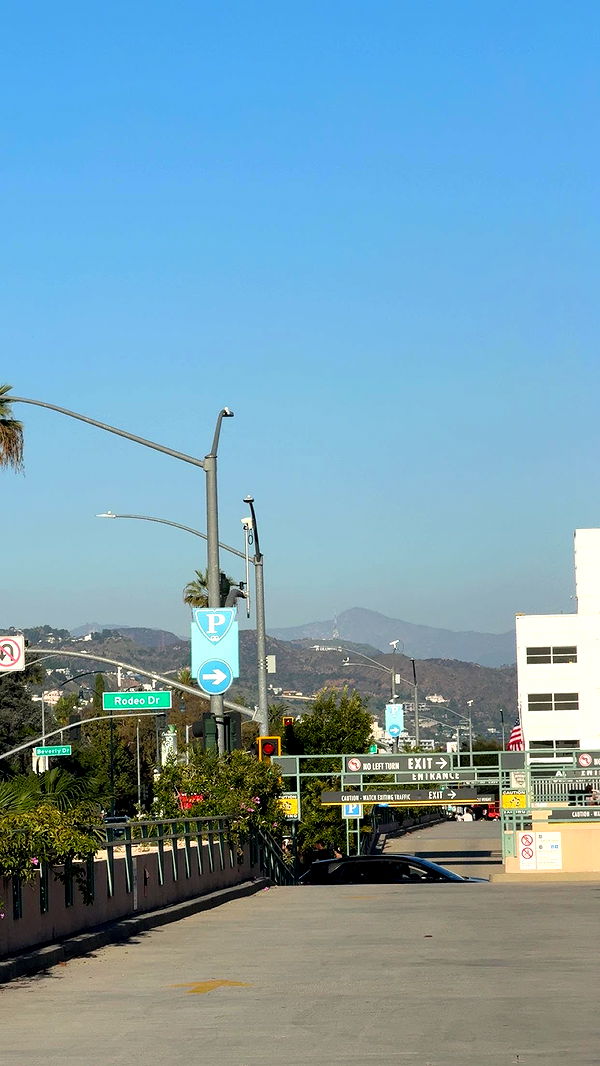 ellieblue2842 image ~ Altpins