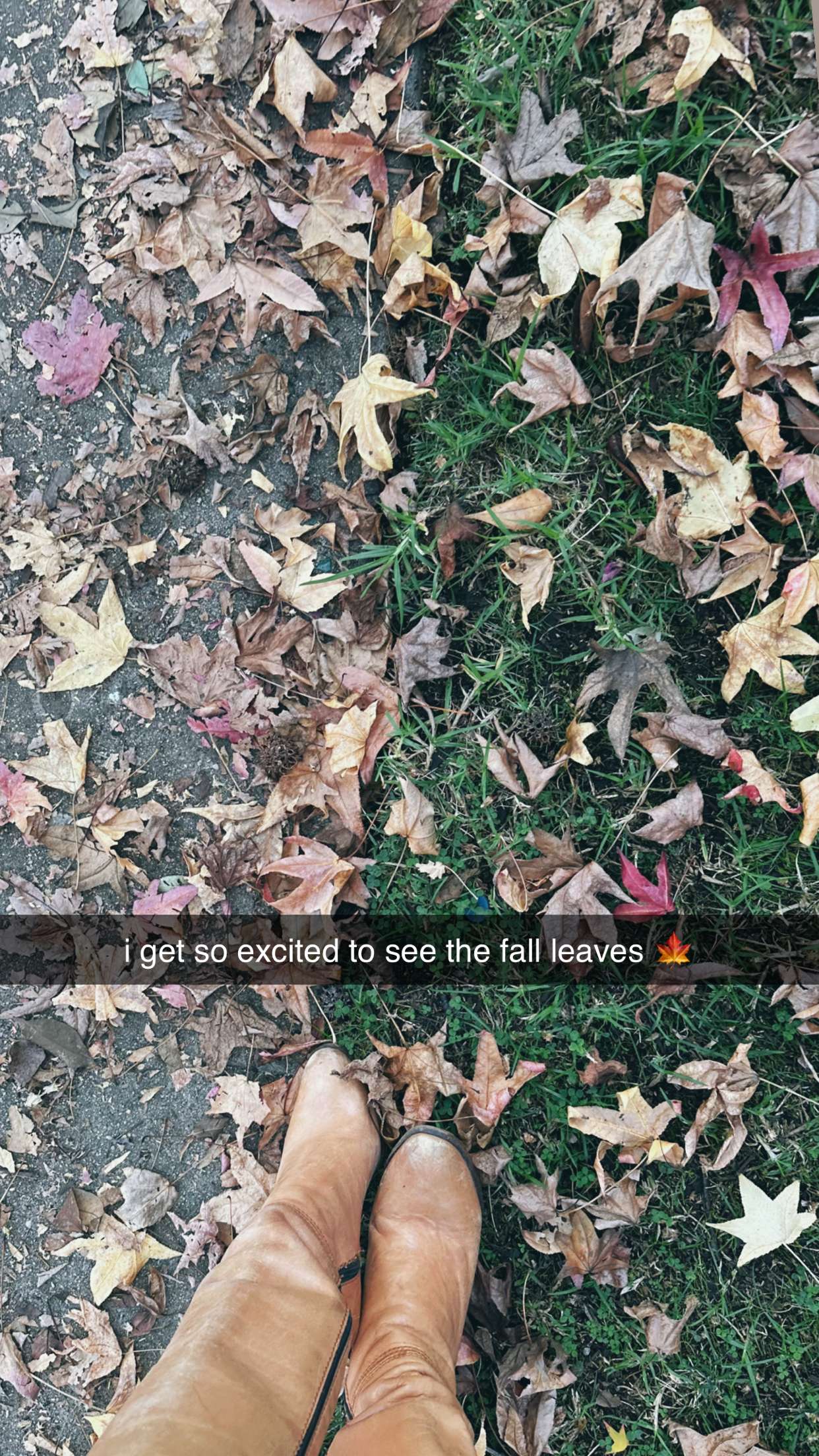 ellieblue2842 snapchat image archive image