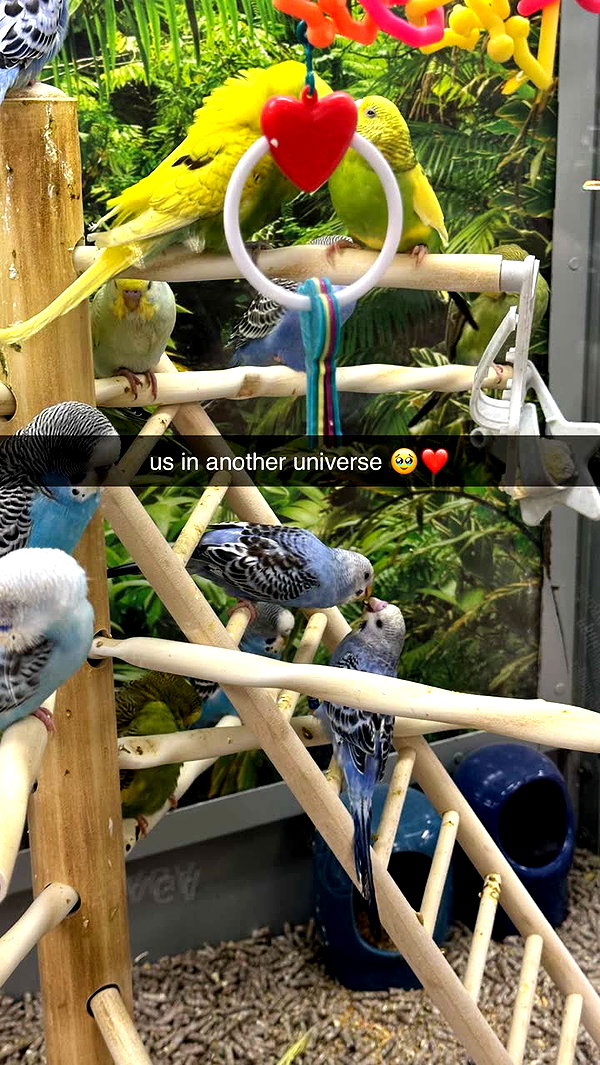 elsa.arca snapchat image archive image