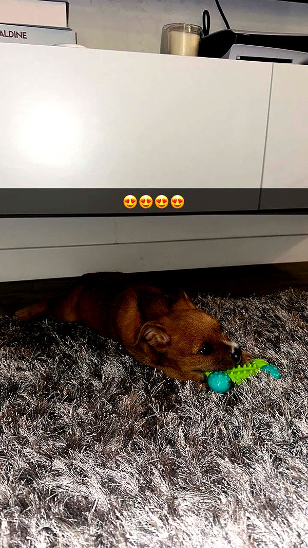 elsa.arca snapchat image archive image