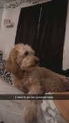 ema.jeann Altpins Profile Picture
