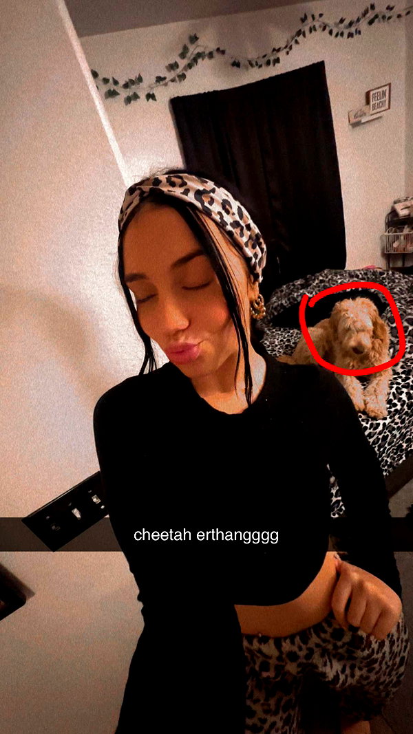 ema.jeann snapchat image archive image