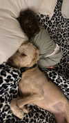 ema.jeann Altpins Profile Picture