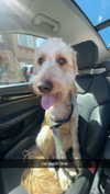 ema.jeann Altpins Profile Picture