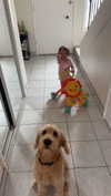 ema.jeann Altpins Profile Picture