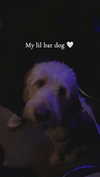 ema.jeann Altpins Profile Picture