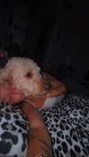 ema.jeann Altpins Profile Picture