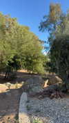 ema.jeann Altpins Profile Picture