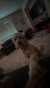 ema.jeann Altpins Profile Picture