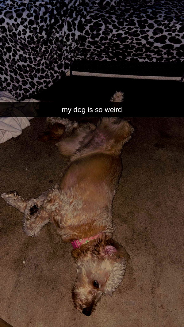 ema.jeann snapchat image archive image