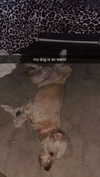 ema.jeann Altpins Profile Picture
