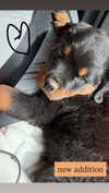 ema.jeann Altpins Profile Picture
