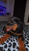 ema.jeann Altpins Profile Picture