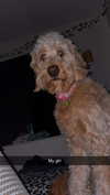ema.jeann Altpins Profile Picture